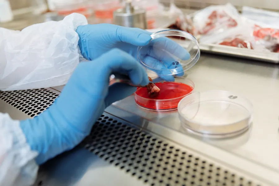 Nutrient density and food quality evidence
