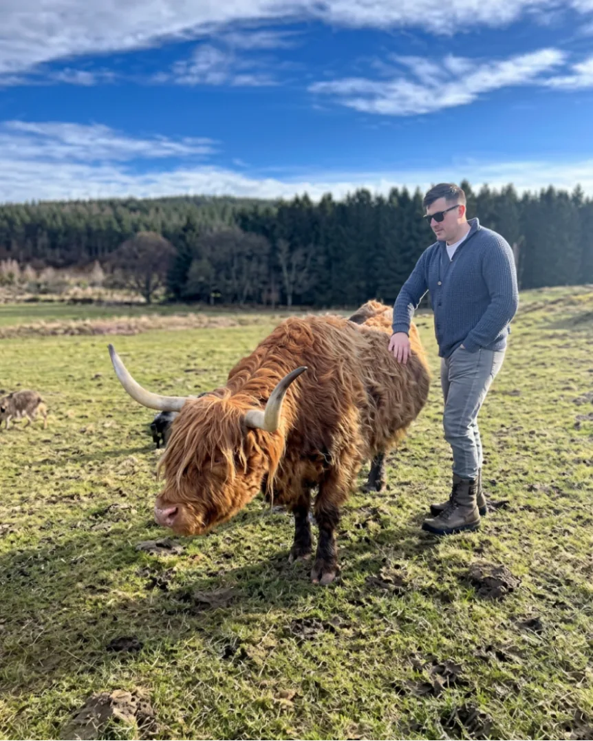 Balnagowen and Aberarder Estates — cattle on the hill